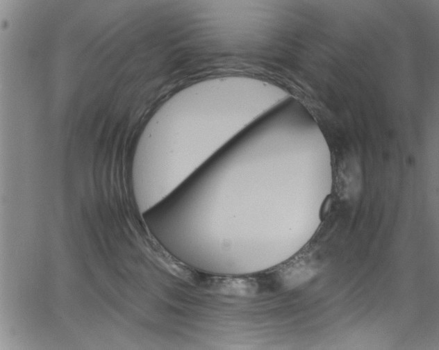 X0000065980330200603030936