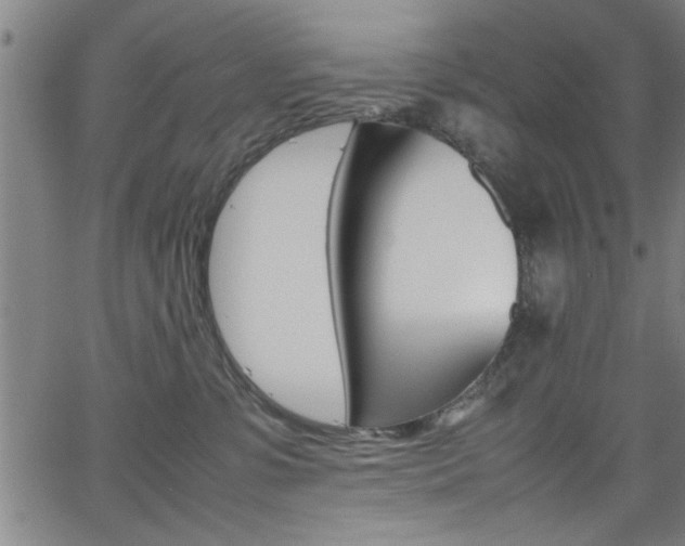 X0000065980331200603030936