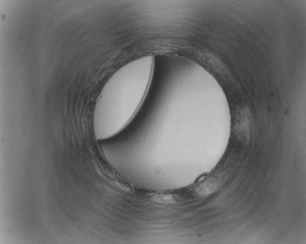 X0000065980332200603030936