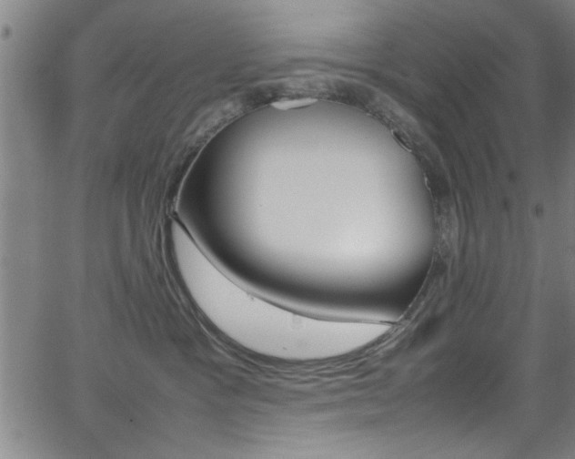 X0000065980333200603030936