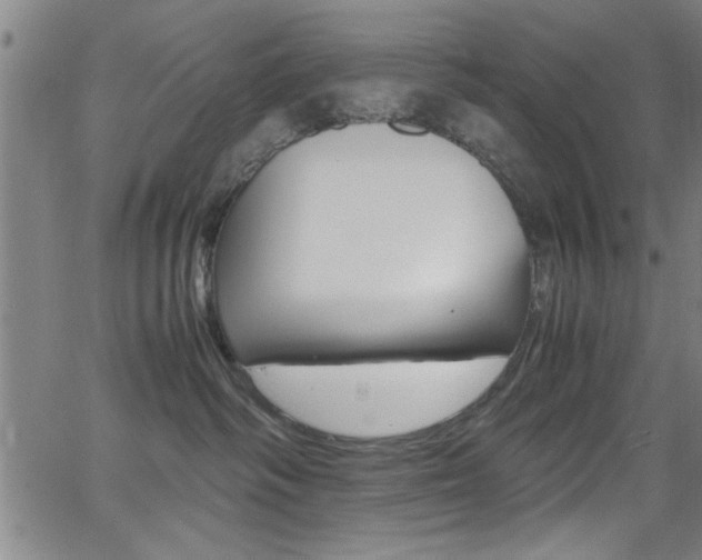 X0000065980334200603030936