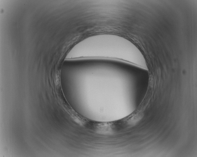 X0000065980335200603030936