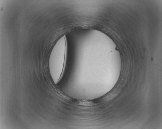 X0000065980336200603030936