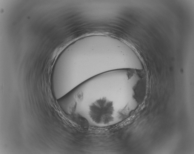 X0000065980337200603030935