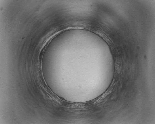 X0000065980338200603030935