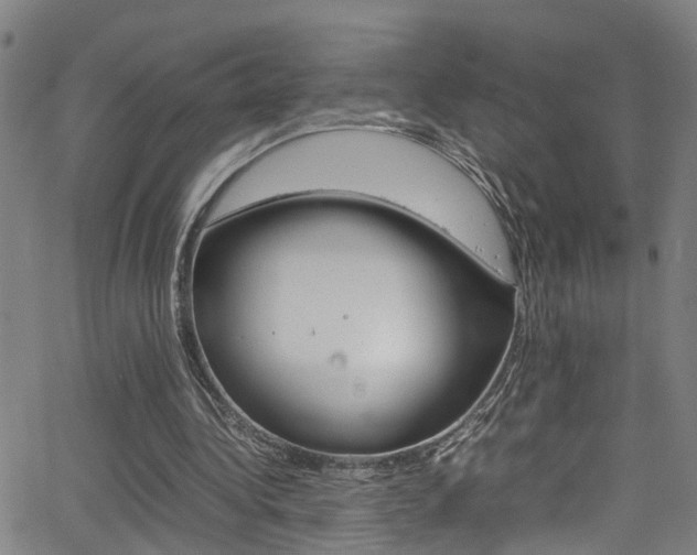 X0000065980340200603030935