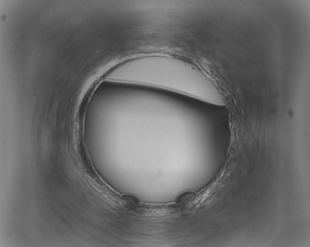 X0000065980342200603030935