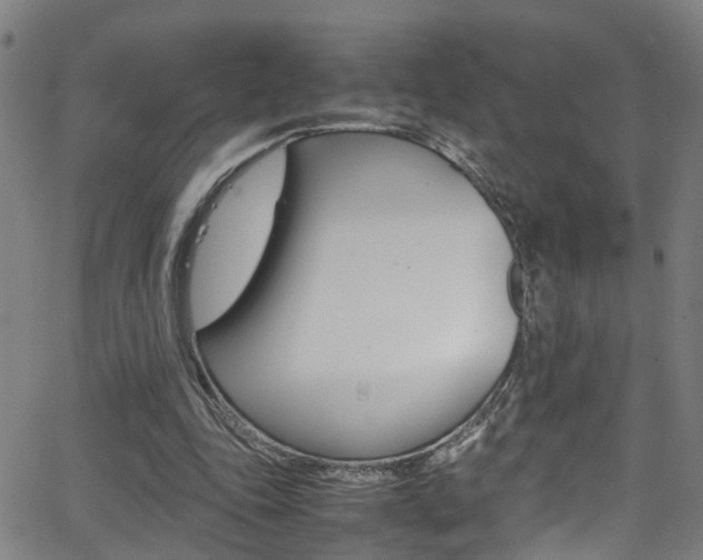 X0000065980343200603030936