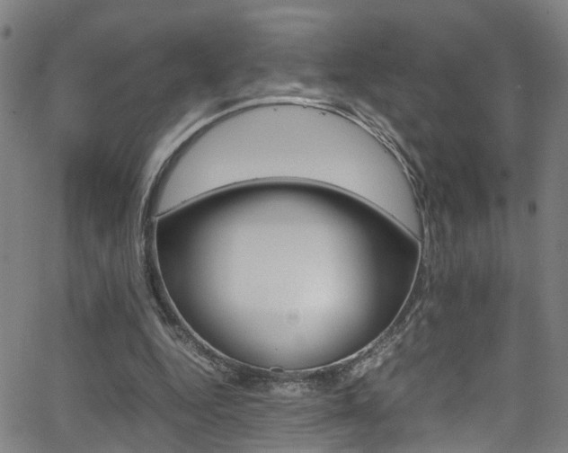 X0000065980344200603030936