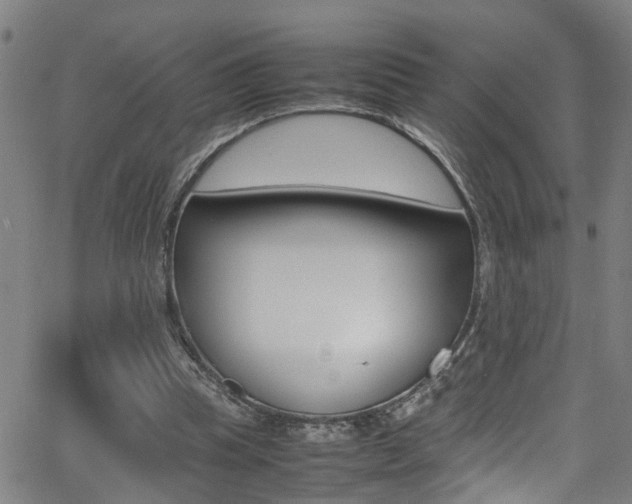 X0000065980345200603030936