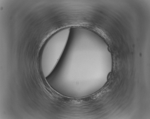 X0000065980346200603030936