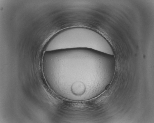 X0000065980347200603030936