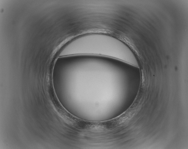 X0000065980348200603030936