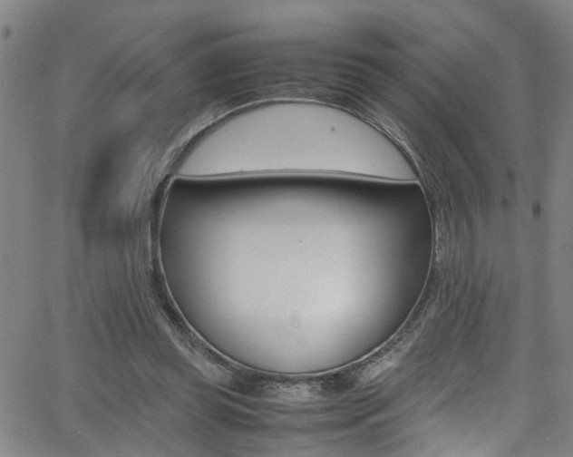 X0000065980349200603030936