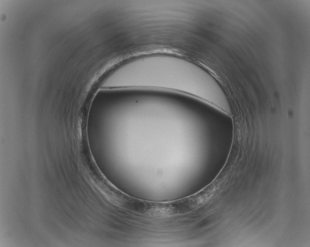 X0000065980350200603030936