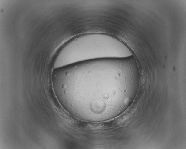 X0000065980351200603030936