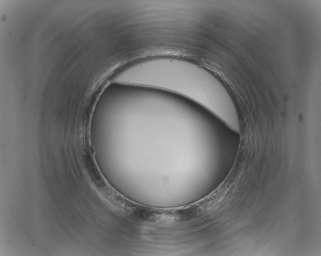 X0000065980352200603030936