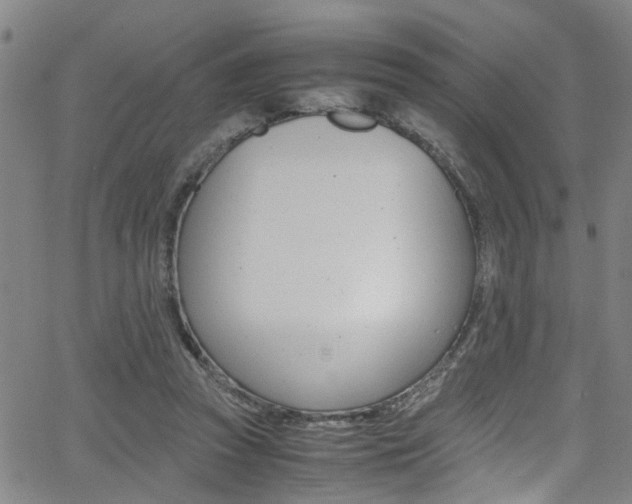 X0000065980353200603030936