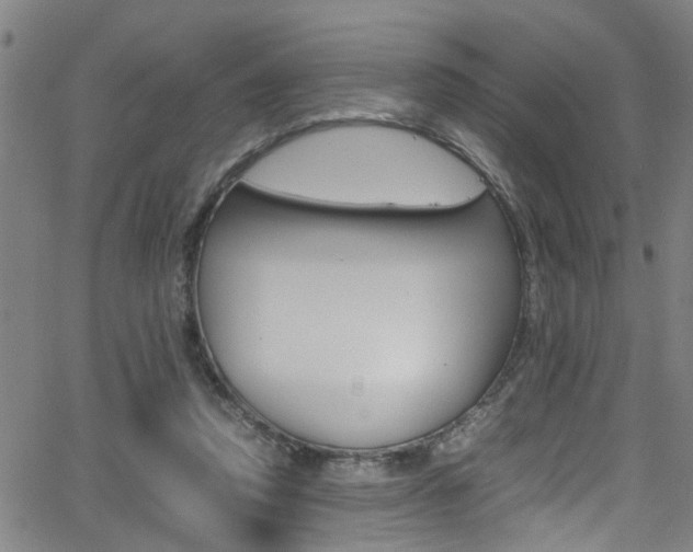 X0000065980354200603030936