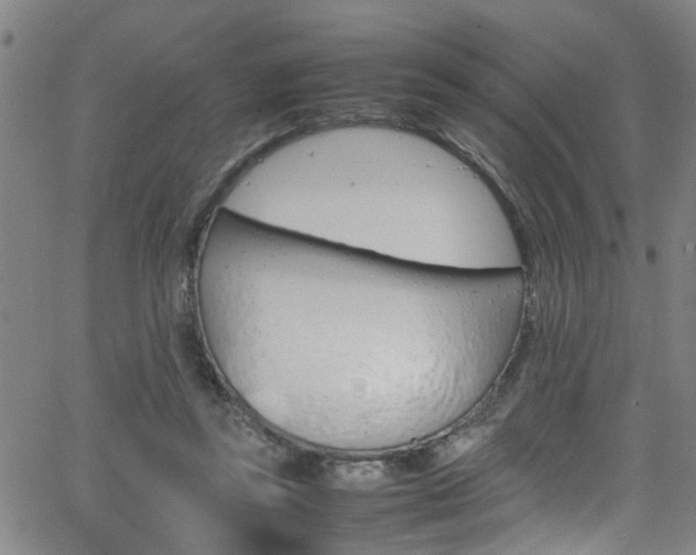 X0000065980355200603030936