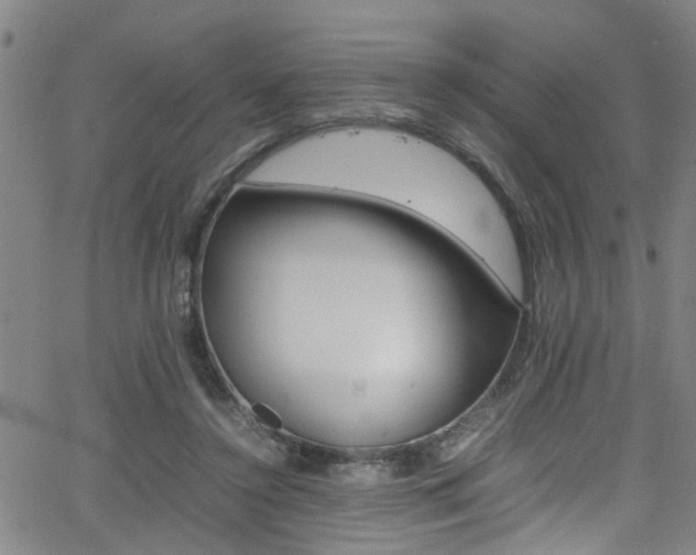 X0000065980356200603030936