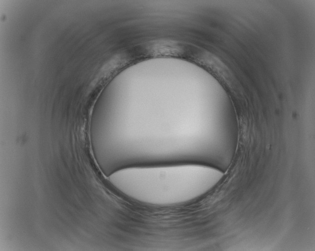 X0000065980357200603030936