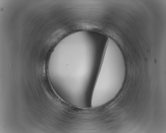 X0000065980358200603030936