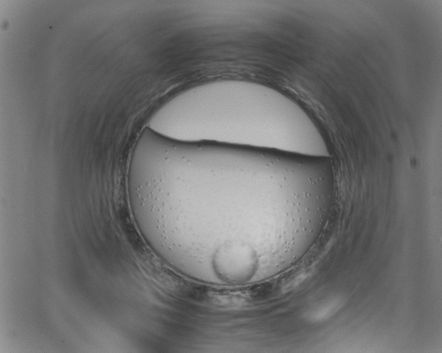 X0000065980359200603030936