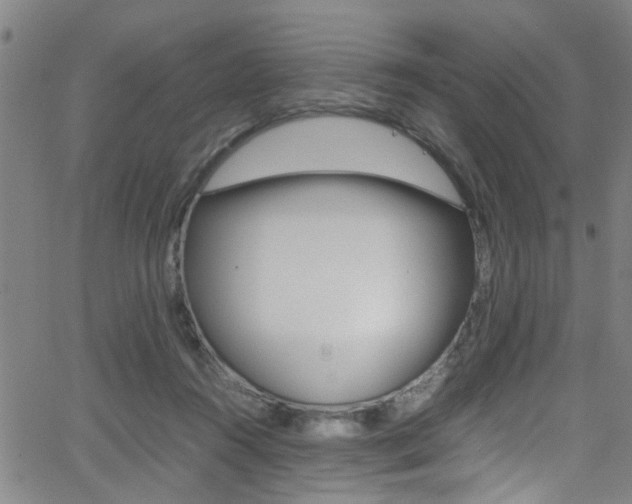 X0000065980360200603030936