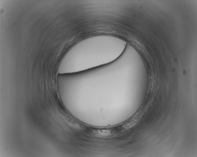 X0000065980361200603030936