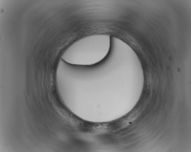 X0000065980362200603030936