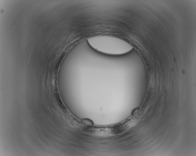 X0000065980363200603030936