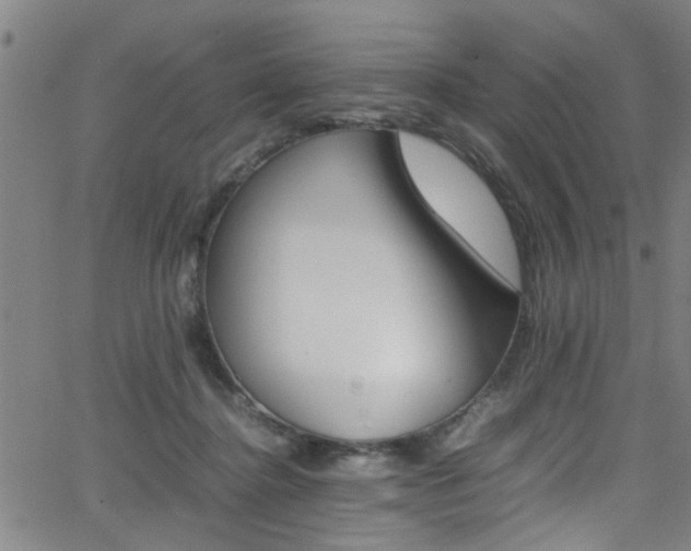 X0000065980364200603030936