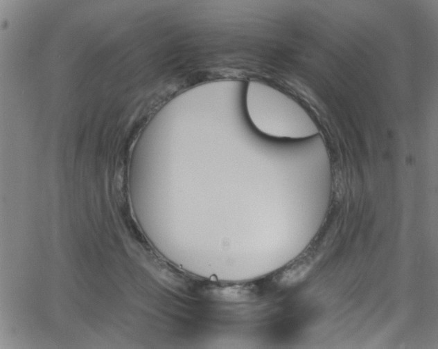 X0000065980365200603030936