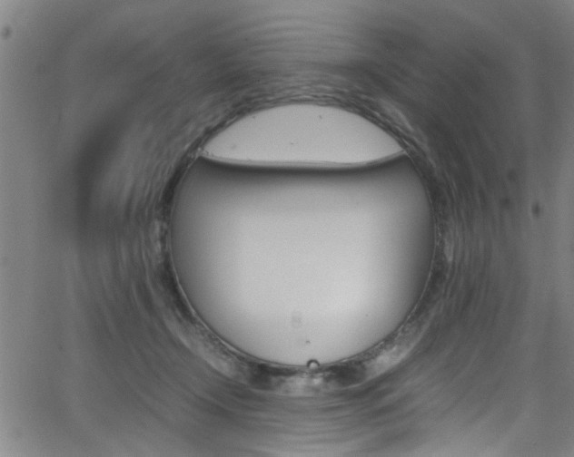 X0000065980366200603030936