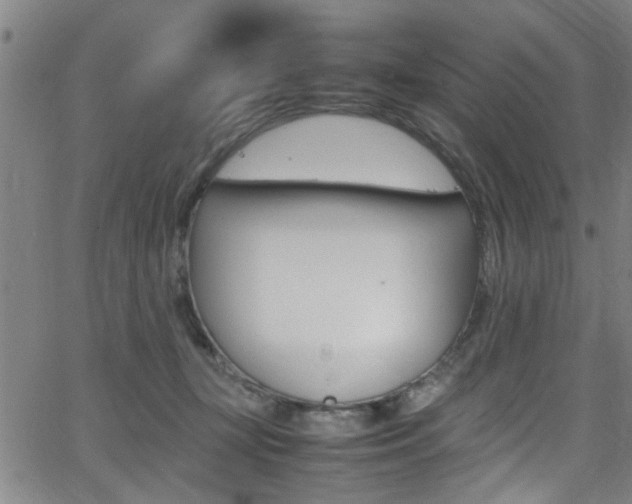 X0000065980367200603030936