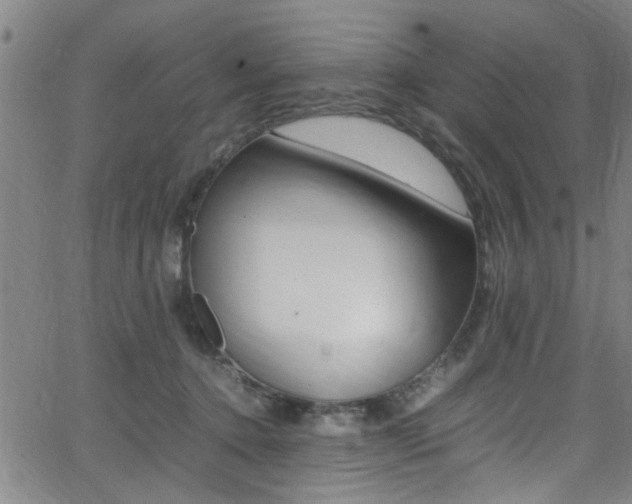 X0000065980368200603030936