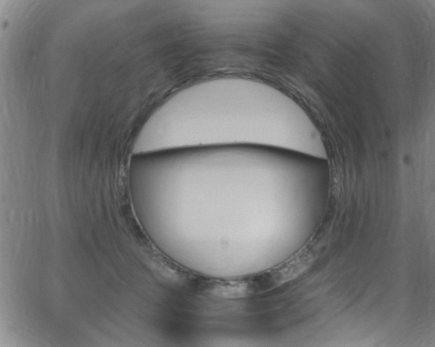 X0000065980369200603030936