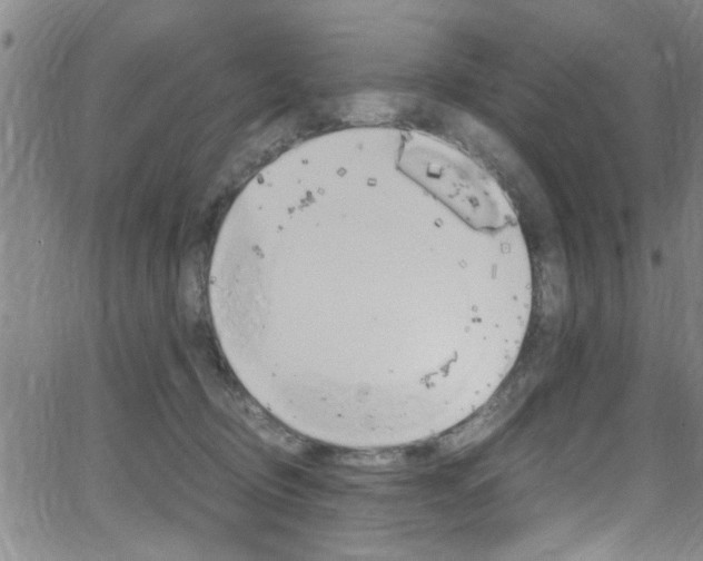 X0000065980370200603030936