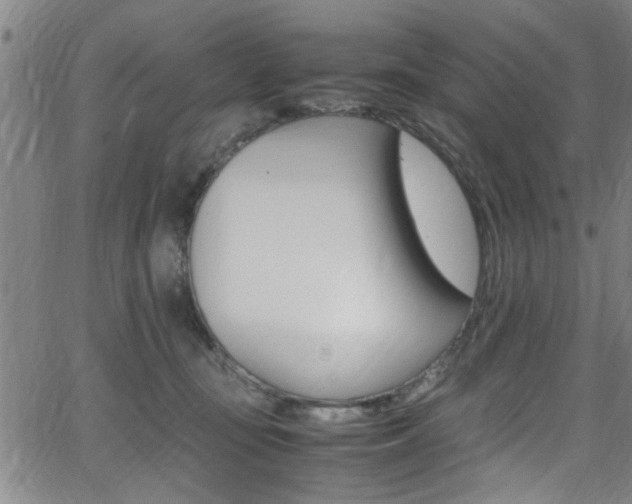 X0000065980371200603030936