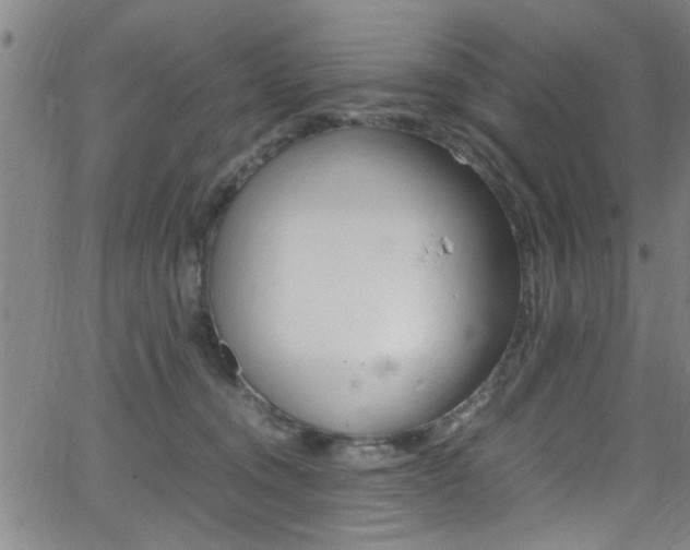 X0000065980372200603030936