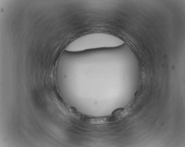 X0000065980373200603030936