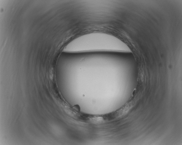 X0000065980374200603030936