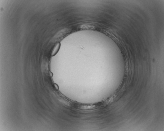 X0000065980375200603030936