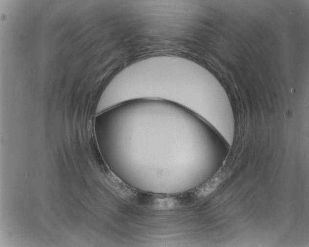 X0000065980376200603030936