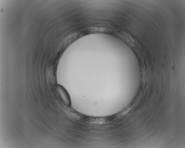 X0000065980377200603030936