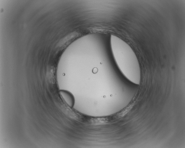 X0000065980378200603030936