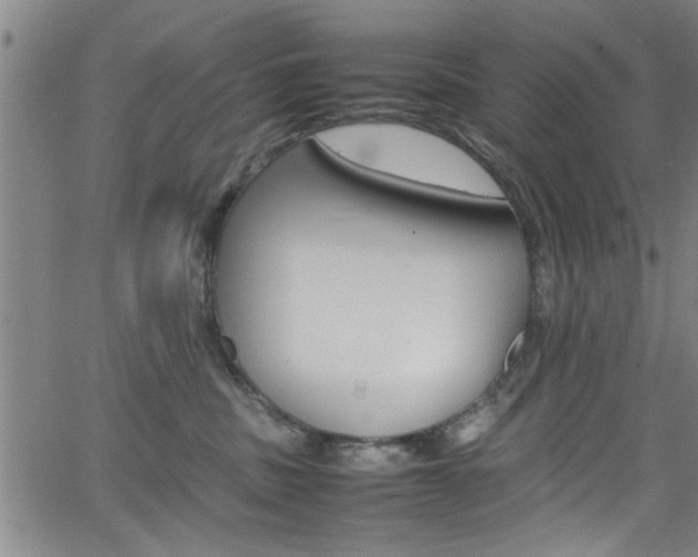 X0000065980379200603030936