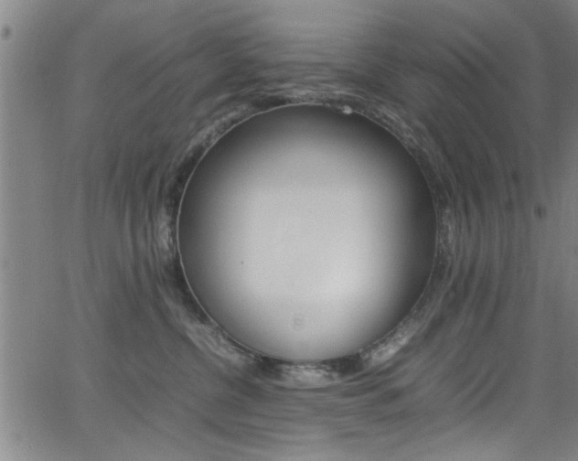 X0000065980380200603030936