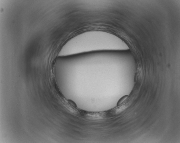 X0000065980381200603030936